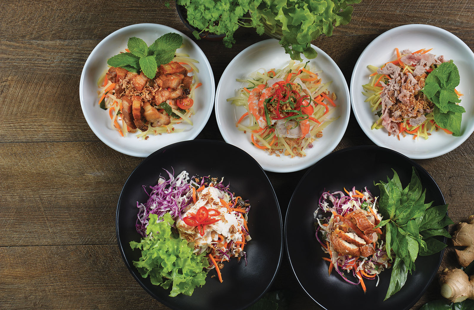 testimonial backdrop